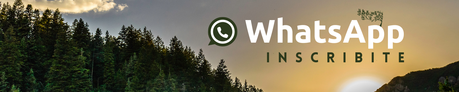 WHATSAPP-1 WHATSAPP-1
